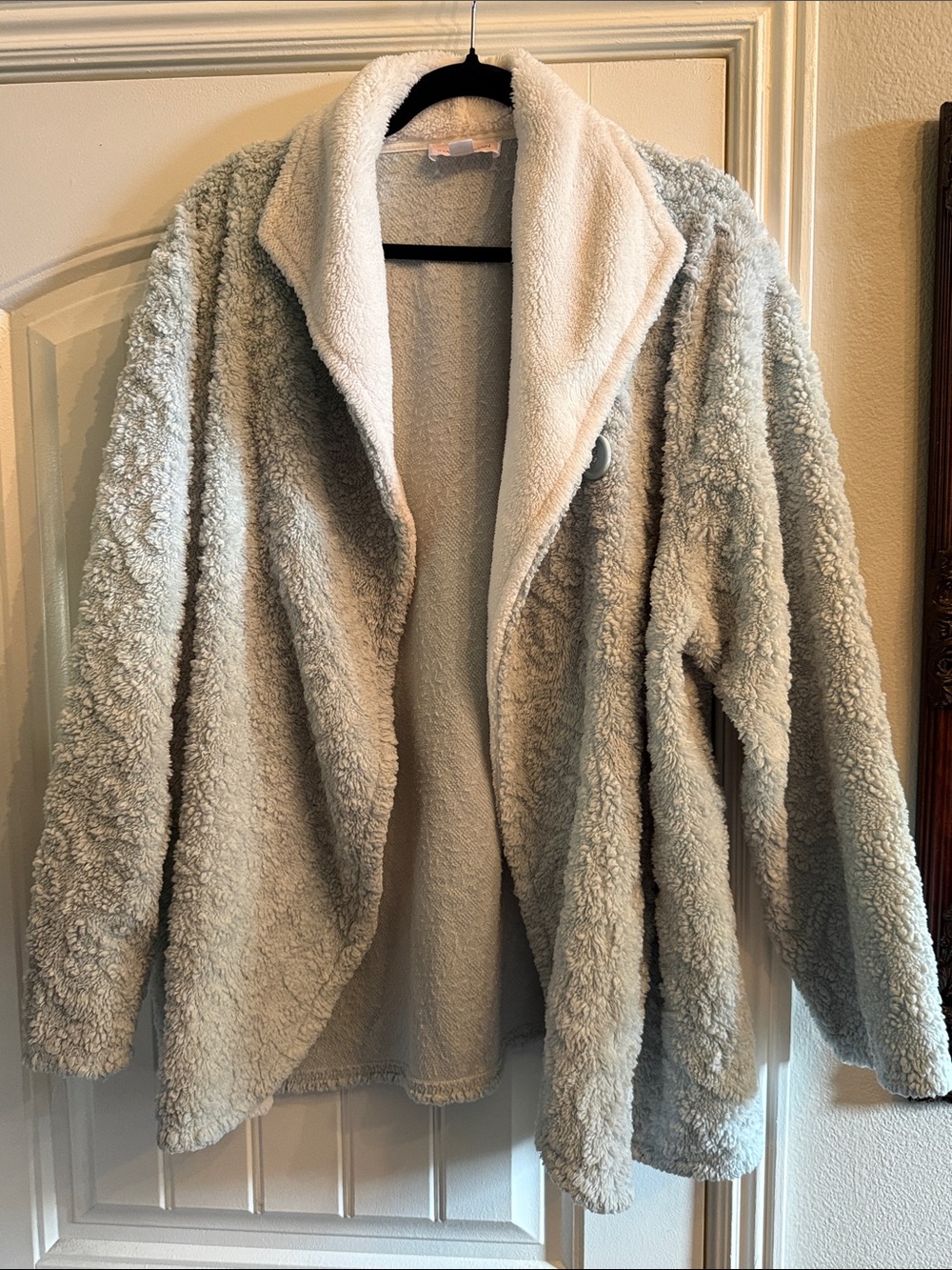 Cozy Plush Shawl Collar Jacket - Light Green